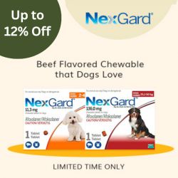 NexGard (afoxolaner) for Dogs: Chewable Tablets for Tick and Flea Control