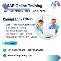  Unlock Business Potential with SAP S/4HANA Training &amp; Certification in Alg