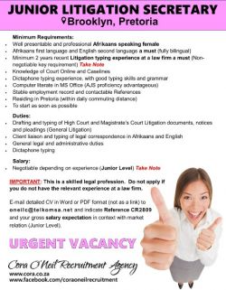 Brooklyn, Pretoria: JUNIOR LITIGATION SECRETARY