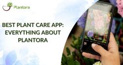 Best Plant Care App to Become plant expert