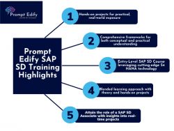 SAP  Corporate  Training &amp; Certification in Abuja  at Prompt Edify 