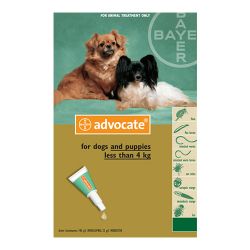 12% Off Dog Dewormer: Keep Your Furry Friend Healthy and Happy